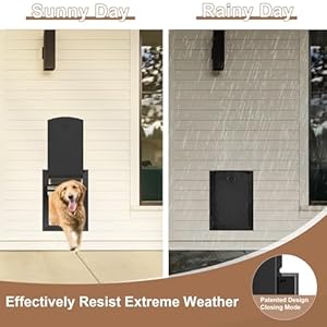 Giant Canine Door for Wall, Heavy Responsibility Canine Door with Aluminum Body and Telescoping Tunnel, Two Magnetic Flaps and Two Sliding Lock Panels, As much as 110lbs, Black.