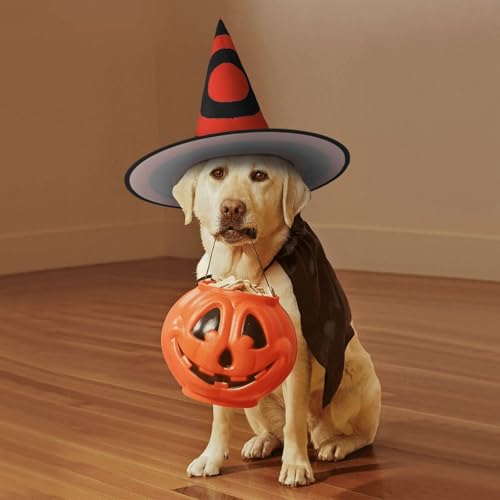 Chapeaux de sorcière Halloween avec impression vectorielle cible pour décoration