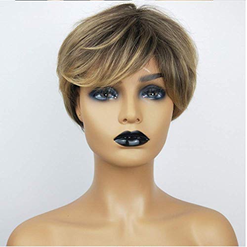 Cilava Blonde Brown Pixie Wig Synthetic Hair Full Machine Made None Lace Wig For Women Natural Looking (Brown Blonde Wig)