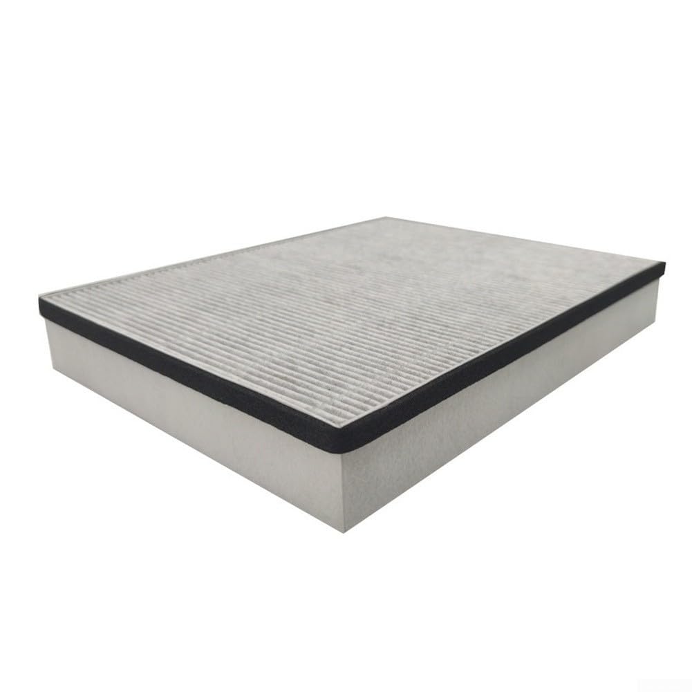 Filtro Carboni Attivi per AC5666 5668 Rimozione Polveri