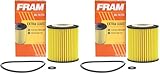Fram CH9641 Passenger Car Oil Filter (Pack of 2)