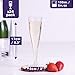 MATANA 24 Premium Elegante Sektgläser Plastik, 133ml - Sektgläser Kunststoff, Sektflöten, Champagner Gläser, Cocktailgläser, Weingläser für Hochzeiten, Partys - Stabil & Mehrweg