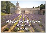 Aimant puissant à l'arrière Abbaye Notre-dame de Sénanque. Monastère cistercien du XIIe siècle avec champs de lavande d\'été Design 2