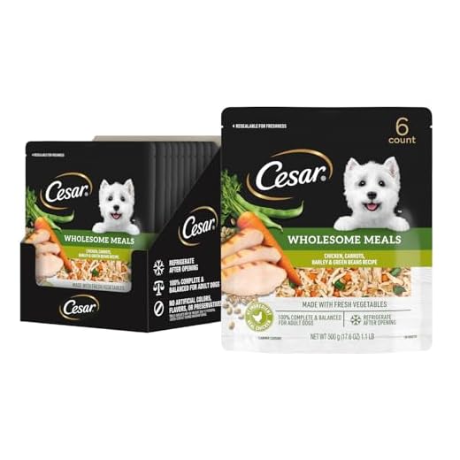 Cesar Wholesome Chicken Dog Food Pouch