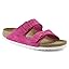 Fuchsia Fuchsia