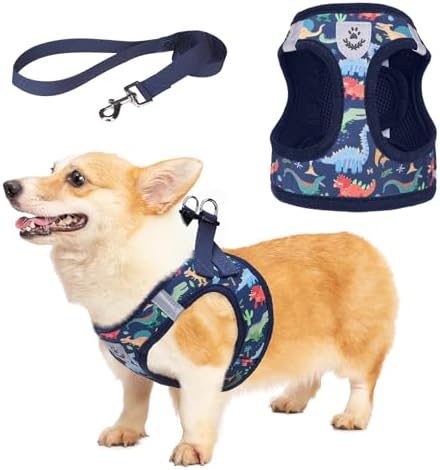 KOOLTAIL Dog Harness for Small Medium Dogs,Dog Harness and Leash Set, Step in No Pull Soft Mesh Padded Adjustable and Reflective Pet Vest Harness Puppy, Plaid Extra Harness for XS S Dogs, Dinosaur S