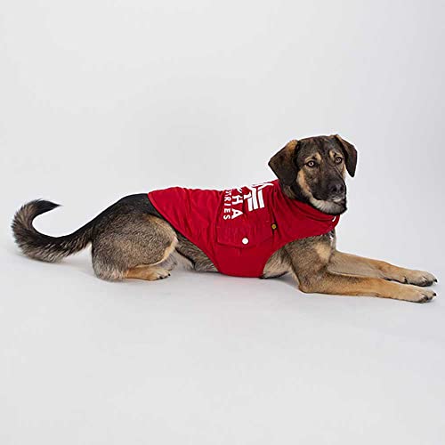 Alpha Industries MA-1 Dog Jacket Backprint, RBF Red, L