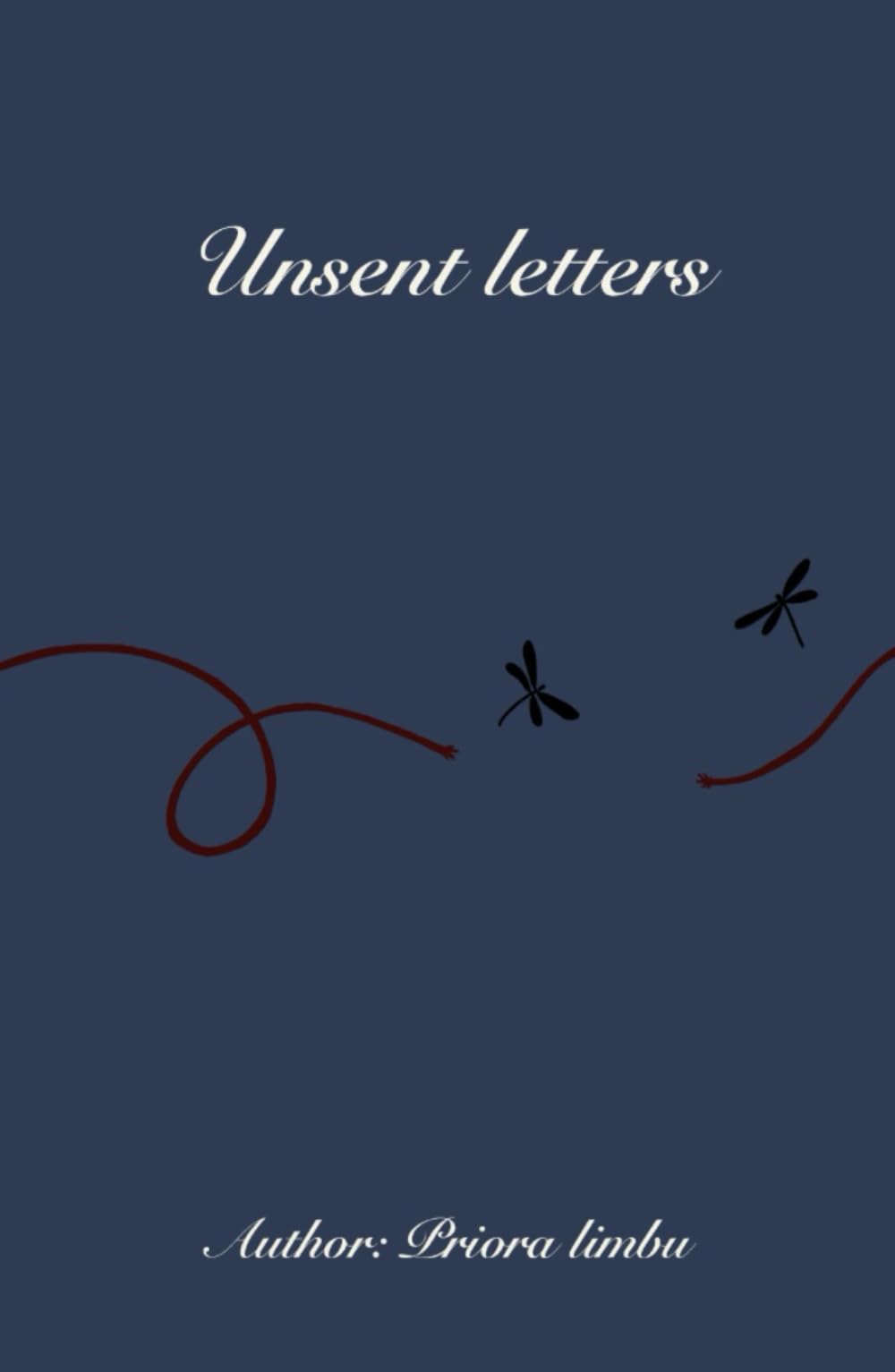 Unsent letters