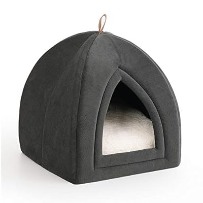 best cat bed for two cats