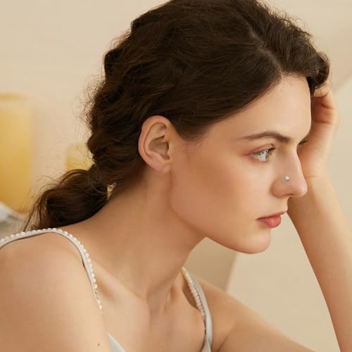 image for ONESING 27 Pcs 20G Silver Nose Rings and Studs for Women Men - Stainle