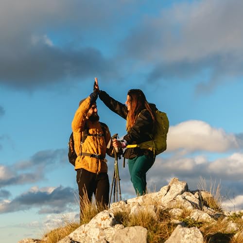 earthborn elements noni 200 capsules pure amp undiluted no additives