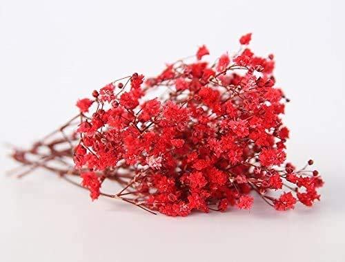 Amazon | Elegantflower かすみ草 ドライフラワー ちょっとずつ/セット Amazon | Elegantflower かすみ草 ドライフラワー ちょっとずつ/セット