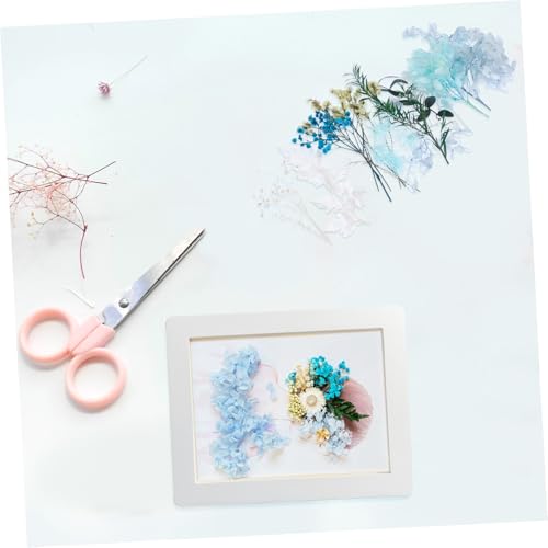 Paquete de flores secas para manualidades 17x11.5 cm miniatura 5