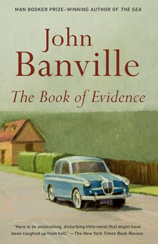 The Book of Evidence 0375725237 Book Cover