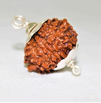 Gemstone Gallery Nau Mukhi Rudraksha Original Certified 9 Mukhi Rudraksha In Silver Capped Pendant Nine Face Rudraksha Nepal Auspicious Rudraksha Bead For Women & Girls 