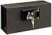 Arregui Camouflaged False Socket Safe, Black