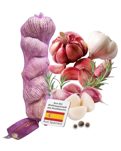 Pflanzknoblauch aus Spanien 500 g - Violetter Knoblauch zum selber pflanzen - Kräftig im Geschmack