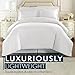 HC Collection Bed Skirt, Soft Microfiber Box Spring Cover, Bed Skirting Queen Size, 14