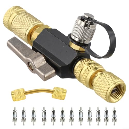 Glewi Herramienta de extracción de núcleo de válvula con accesorios de 1/4 y 5/16 pulgadas, instalador HVAC nominal al vacío para sistemas de aire acondicionado R410A/R22/R134a, incluye 12 núcleos