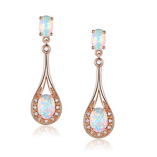 Dangle Earrings for Women Drop Earrings 18K White Gold/Rose Gold Plated Jewelry Hypoallergenic for Sensitive Ears - Main Image