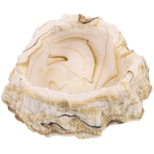 Toddmomy Futternapf für Reptilien Wiederverwendbarer Wassernapf für Terrarien Futterschale für Geckos und Schildkröten Geeignet als Reptilienbedarf