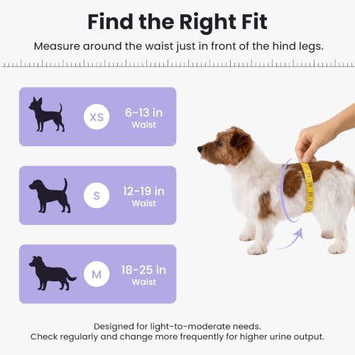 Disposable Dog Diapers Male DROPS TO TO - image 9