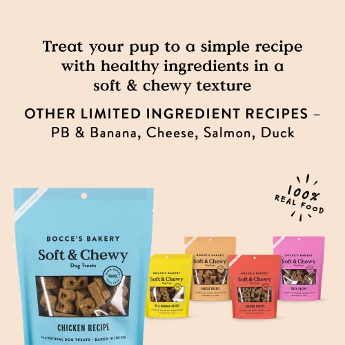 Bocce’s Bakery Oven Baked Chicken Recipe Treats For Dogs, Wheat-Free Everyday Dog Treats, Made With Real Ingredients, Baked In The Usa, All-Natural Soft & Chewy Cookies, Chicken, 6 Oz #TOP3