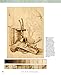 Little Book of Pyrography: Techniques, Exercises, Designs, and Patterns (Fox Chapel Publishing) Pocket-Size Gift Edition with Step-by-Step Instructions & Expert Woodburning Advice from Lora Irish