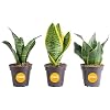 Product Photo 1