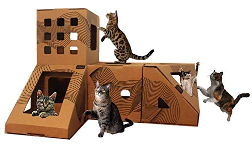 Brinquedo Casa Toca para Gatos Kit 4 mobypet (cubo + triângulo + retângulo + poli)