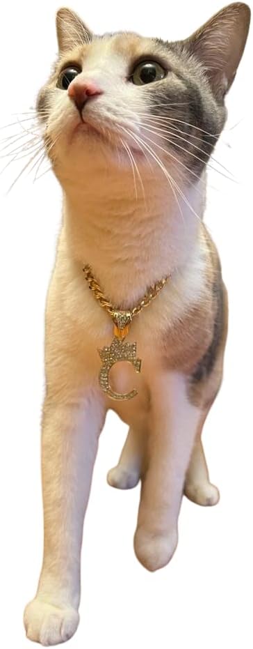 Initial Letter Cuban Chain Dog Chain Pet Chain Pet, Cat, Puppy Necklace (K, 22")