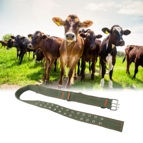Kuhhalsband, Verstellbares 4-lagiges Canvas Kalbskragen Krawatte Rinderhalsband Halsband mit 2 Reihen Metallschnalle für Pferdeschaf Rinder(#2)