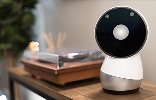 jibo buy online