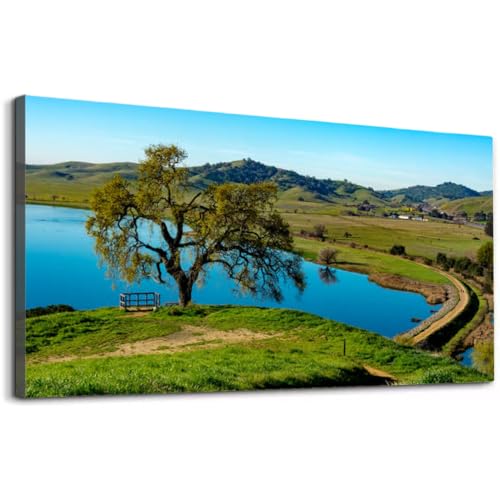Wibinuki Wall Art Wall Decor Wall Paintings Lagoon Valley Park