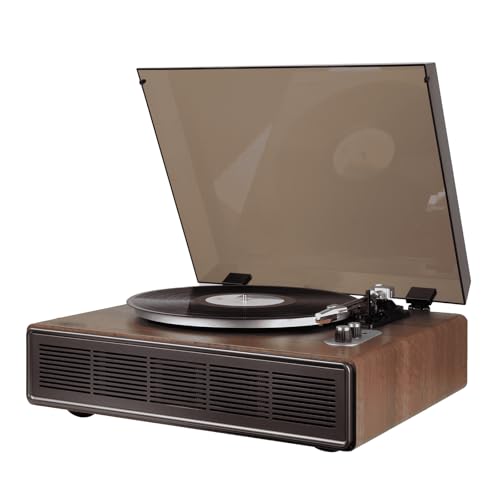 Amazon.co.jp: DLITIME レコードプレーヤー Bluetooth送信と受信