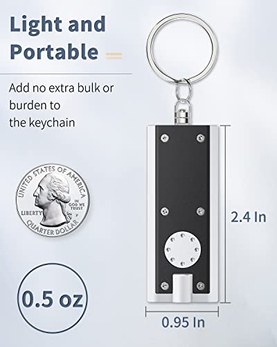 Uniclife 10 Pack Mini Led Keychain Flashlight 12 Lumen Portable Ultra Bright Light Battery Powered Flat Black Torch For Edc Outdoor Camping Hiking And Emergency Lighting (Batteries Included) #TOP3