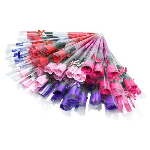 AACV \[vt[ ԑ o A[gt[ Όf t[Mtg Əj a ̓ hV̓ JXj ސEv[g    lC 蕨 CeAɍœK (5F~bNX,5F 50{Zbg) [sAi]