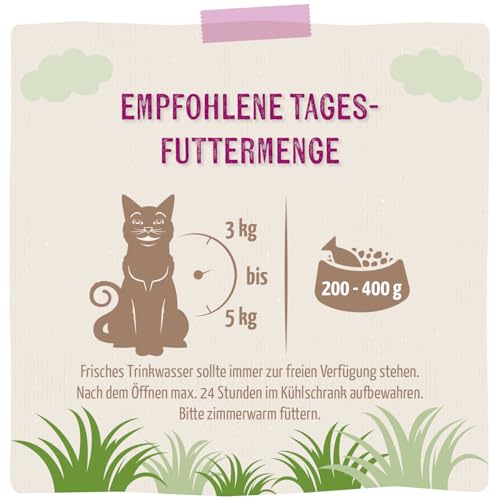 MjAMjAM - Premium Nassfutter für Katzen - Quetschie - saftiges Schwein PUR, 12er Pack (12 x 125g), getreidefrei mit extra viel Fleisch