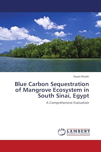 Blue Carbon Sequestration of Mangrove Ecosystem in South Sinai, Egypt: A Comprehensive Evaluation