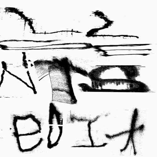 Fast Edit [Vinyl]