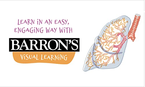 Visual Learning: Human Anatomy: An illustrated guide for all ages (Barron's Visual Learning) - Image 5