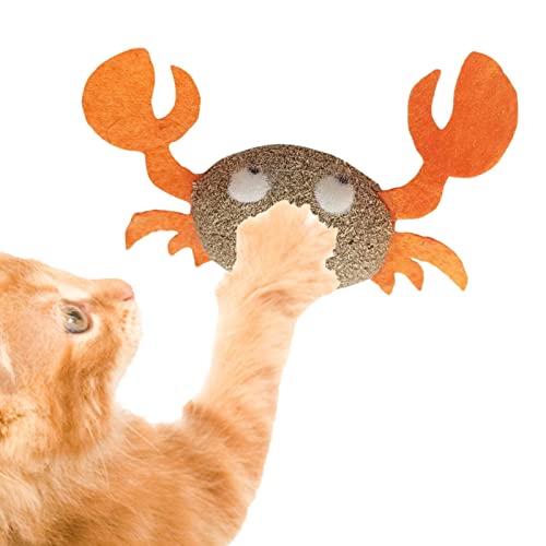 Catnip Cat Brinquedos | catnip interativos para gatos interior,Gatos Molar Catnip Ball Dentes Limpos