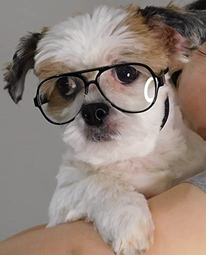 G030 Dog Cat Pet Aviator Costume Glasses For Small Breeds Up To 15Lbs (Black-Clear) #TOP4