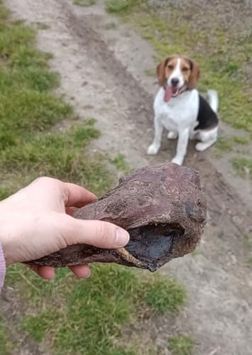 Lucze, Getrocknete Pferdelungen für Hund 500g, 100% Natürlicher Kausnack, Hypoallergen, Zahnpflege für Hunde, Langanhaltender Kauspaß, Leckerli für Empfindliche Hunde, Ohne Künstliche Zusätze