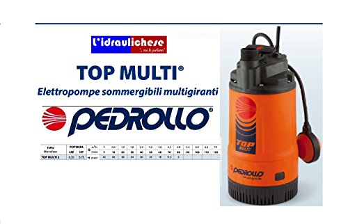 Elektropumpe PEDROLLO Stabmixer topmulti2