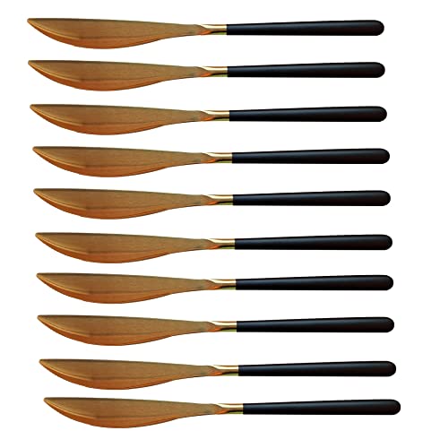 Bayli Juego de 10 cuchillos para menú, de postre, 22 cm, de acero inoxidable, con diseño pulido espejo, cubertería de comedor, cena, cuchillo de mesa, cuchillo de desayuno