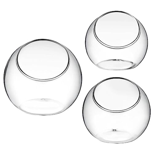 Yardwe Glass Terrarium Plant Terrarium Display Glass Tabletop Succulent Air Plant Planter Globe 10cm 12cm 13.5cm 3pcs Desktop Micro-landscape Bottle