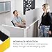 OBEX Acrylic Mounted Large Brackets Quality Desk Privacy Panel & Divider for Your Office Cubicle-Increase Separation & Improve Productivity (Frosted, 18