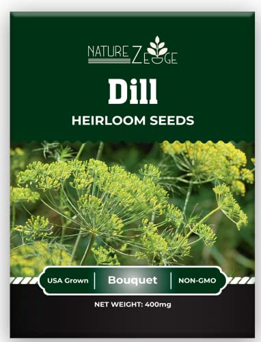 6 Variety Herb Seeds Kit, Parsley, Chives, Thyme, Sage, Dill, Oregano #TOP2