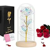 Klysimath Beauty and The Beast Rose, Galaxy Rose Gifts for Women, Colorful Rose in Glass Dome, Rainbow Rose Romantic Gifts for Her, Girlfriend, Wife, Mom, Valentine's Day, Mother's Day